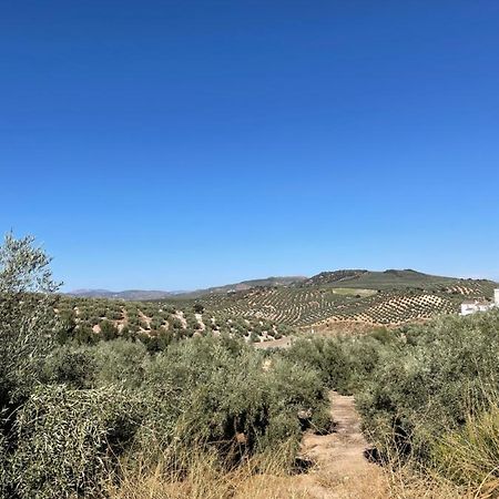 Lafrenchtouch - Escapada Rural En Una Coqueta Casa Villanueva de Tapia Bagian luar foto